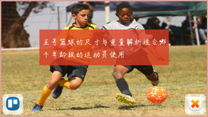 五号篮球的尺寸与重量解析适合哪个年龄段的运动员使用