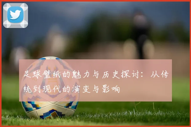 足球璧纸的魅力与历史探讨：从传统到现代的演变与影响