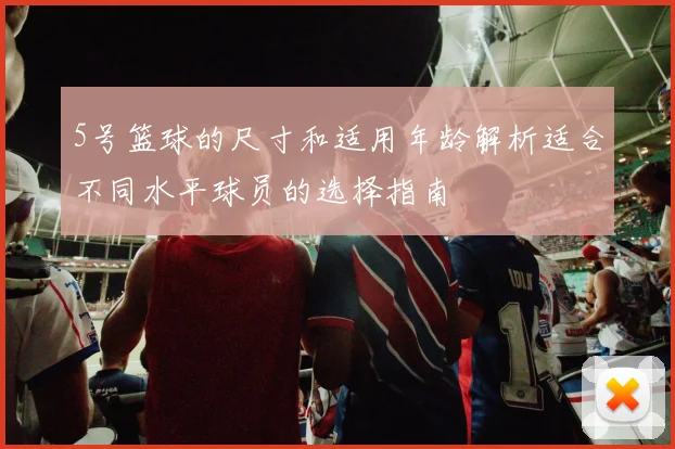 5号篮球的尺寸和适用年龄解析适合不同水平球员的选择指南