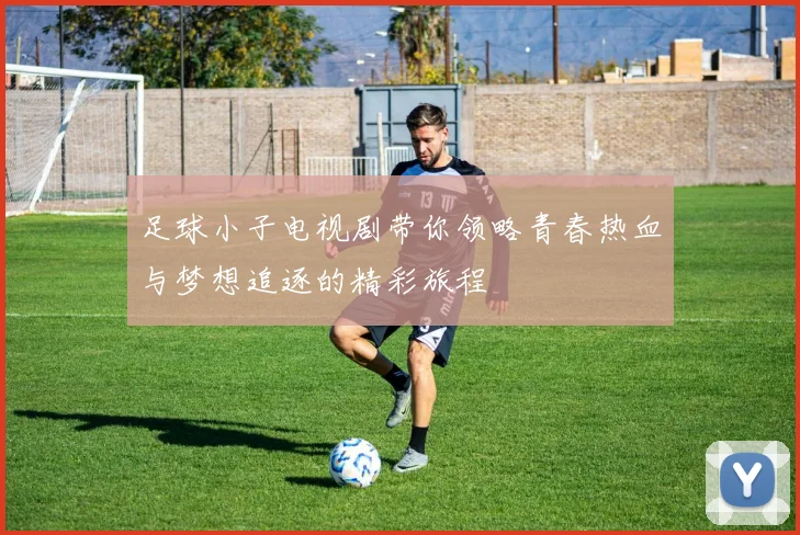 足球小子电视剧带你领略青春热血与梦想追逐的精彩旅程
