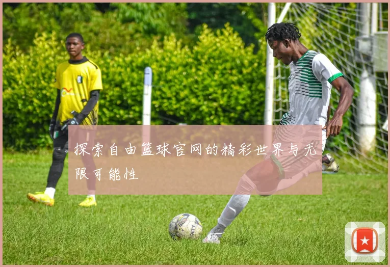 探索自由篮球官网的精彩世界与无限可能性