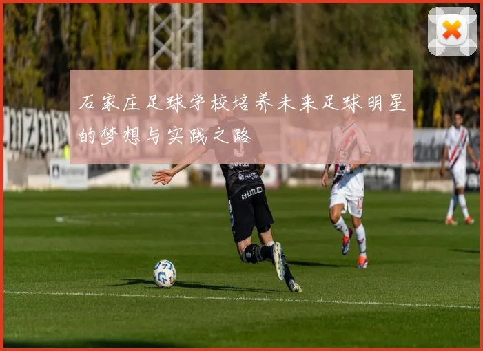 石家庄足球学校培养未来足球明星的梦想与实践之路