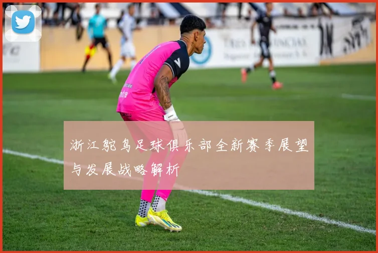 浙江鸵鸟足球俱乐部全新赛季展望与发展战略解析