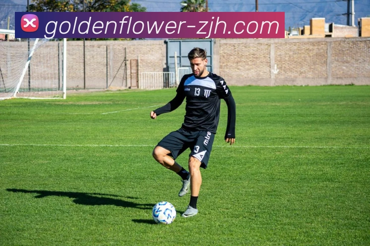 炸金花品牌故事