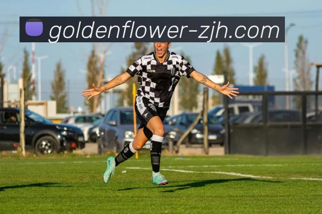 炸金花服务体系