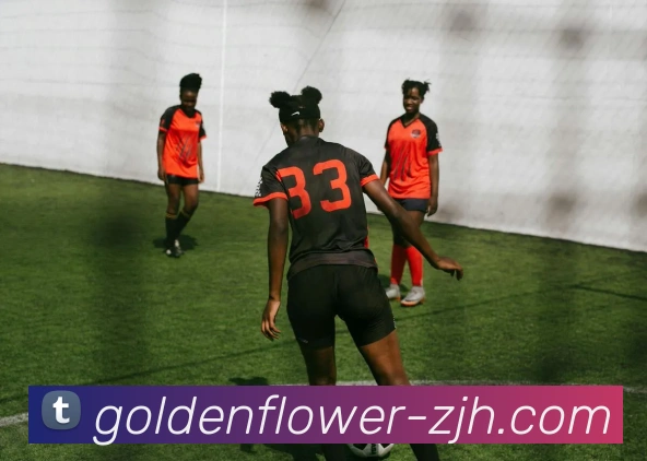 多媒体互动体验